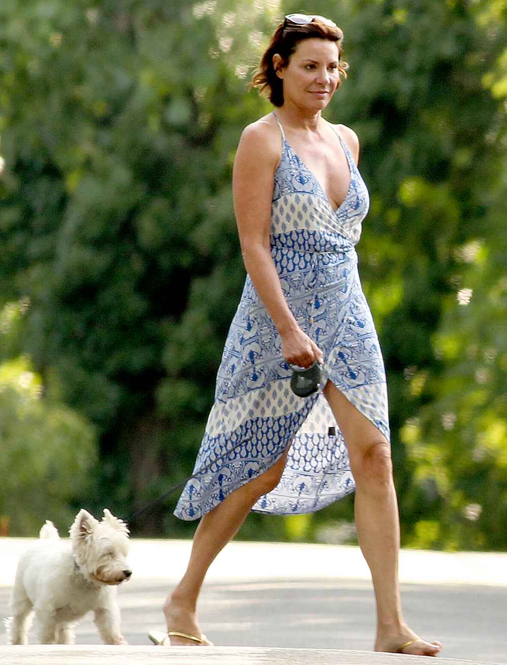 Countess Luann De Lesseps walking her dog with a friend in the Hamptons on August 23, 2017.