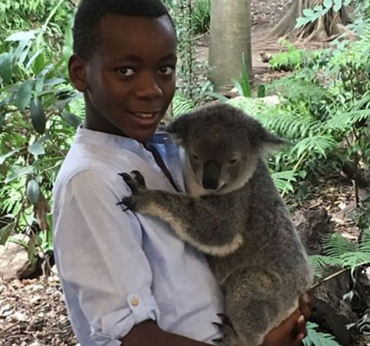 Madonna's son David cuddles a koala in Australia