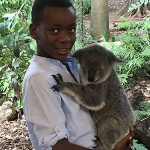 Madonna's son David cuddles a koala in Australia