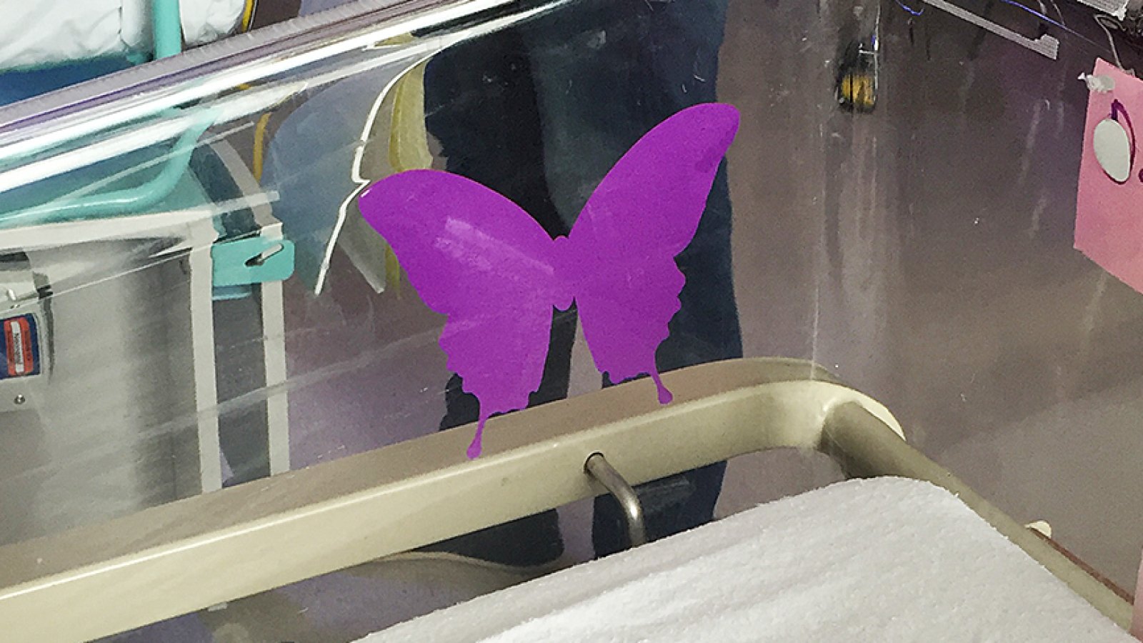 purple butterfly stickers hospital
