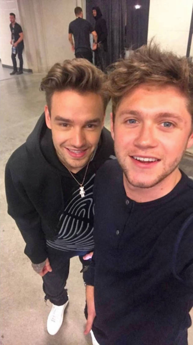 Niall Horan and Liam Payne
