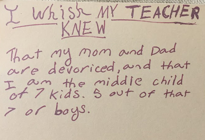 A note from 'I Wish My Teacher Knew' by Kyle Schwartz