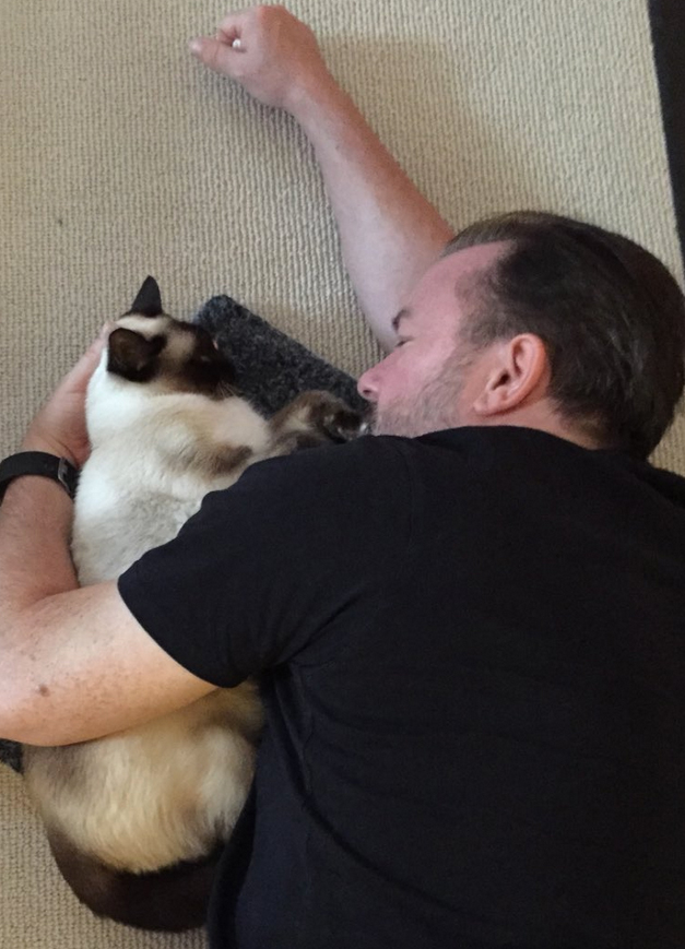 The Social Media Lives of Celebrity Pets: Unveiling their Online Paw-trait!