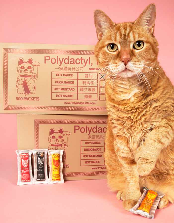 Polydactyl Cats' Chinese Food Takeout Catnip Sauce Packets.