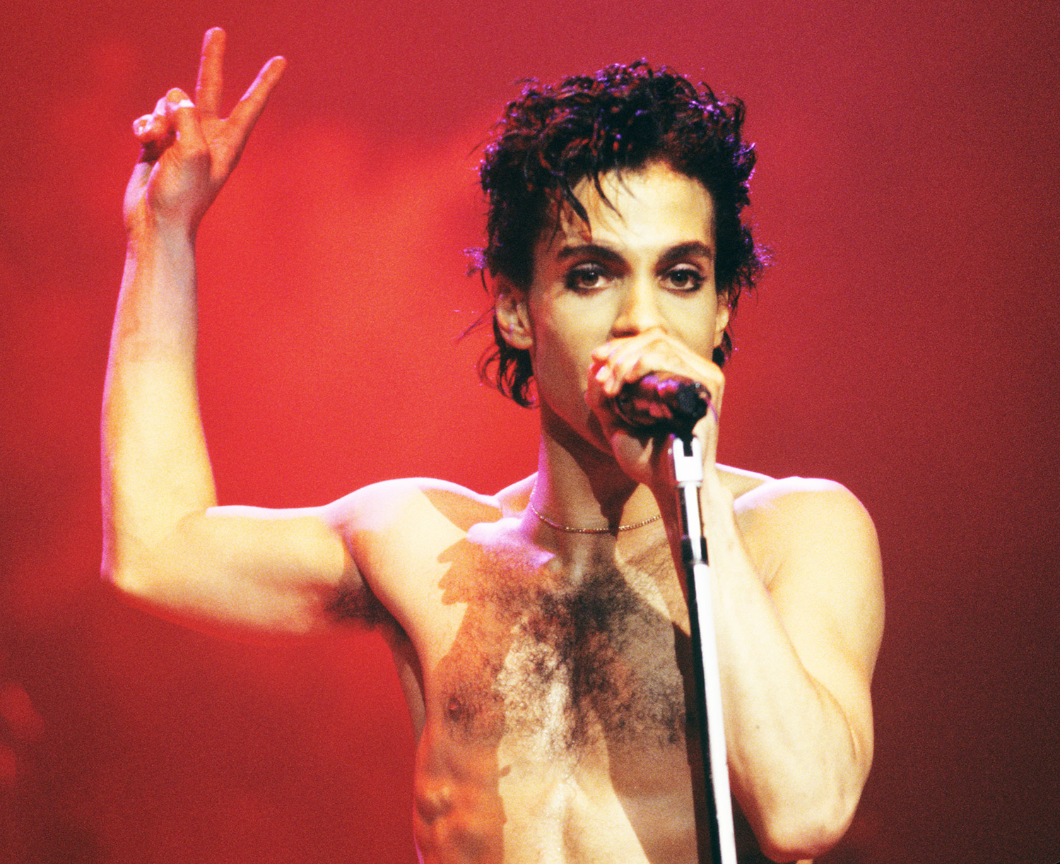 Prince 4 ab019933 d786 42e8 b416 ccbbf84e6b4d