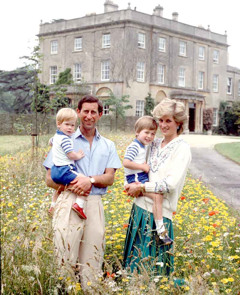 Prince Charles, Princess Diana, William, Harry