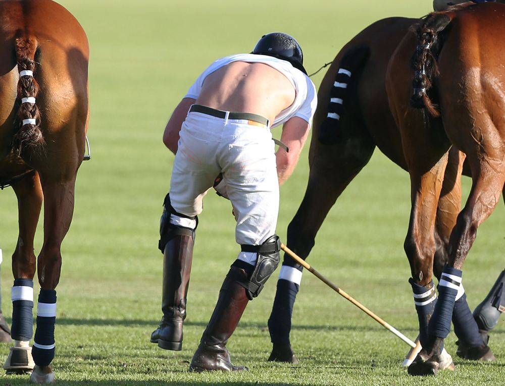 Prince Harry falls off horse