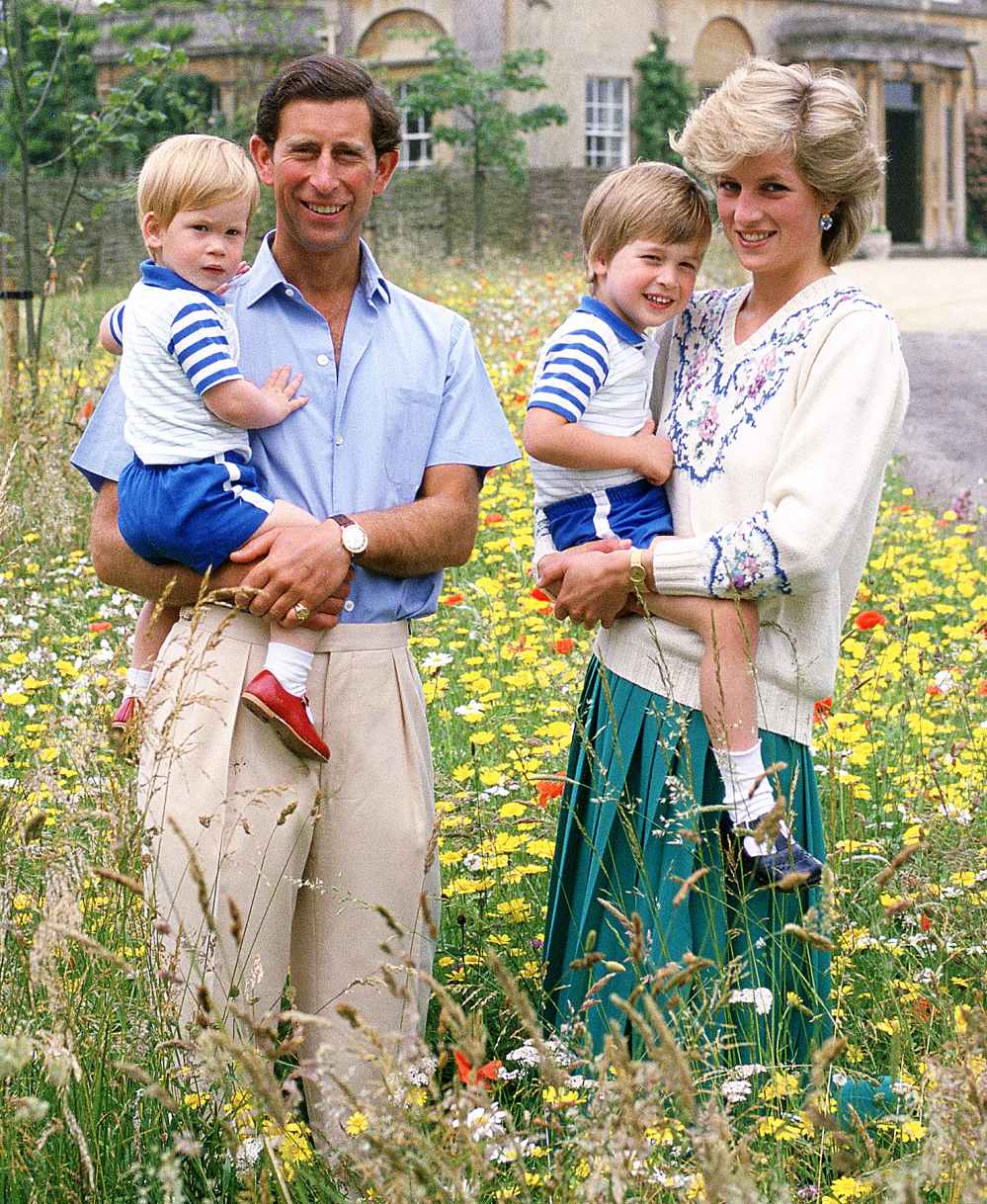 Prince Charles, Prince Harry, Prince William, Princess Diana