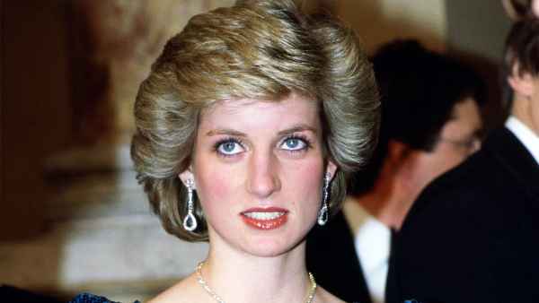 Princess diana a9f80302 78f7 4c4b a85f 768739c0c0c5