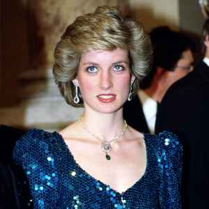 Princess diana a9f80302 78f7 4c4b a85f 768739c0c0c5