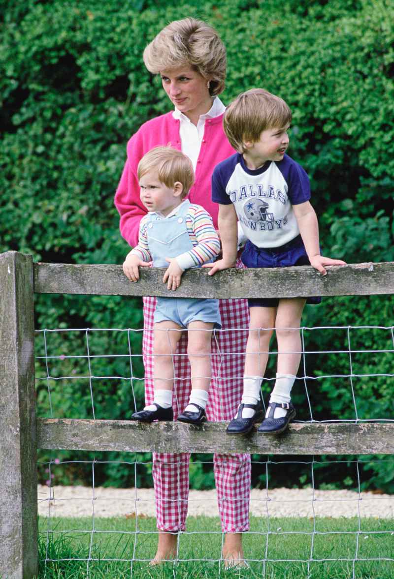 Prince William, Harry Remember Princess Diana: ‘Best Mum in the World’