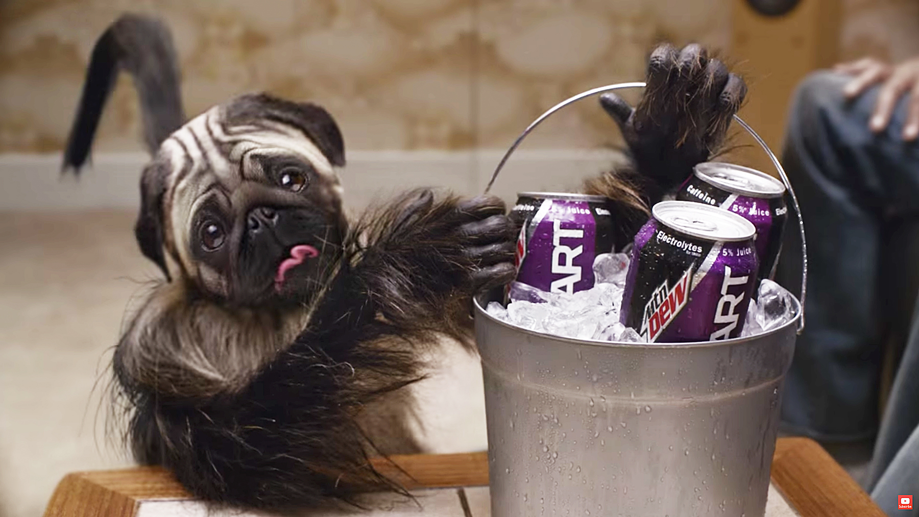 puppymonkeybaby commercial