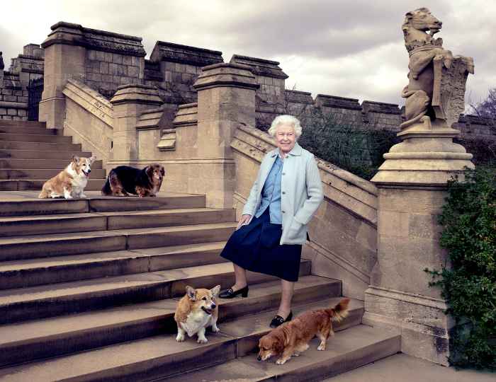 The Queen is seen on steps at the rear of the East Terrace and East Garden with four of her dogs: clockwise from top left Willow (corgi), Vulcan (dorgie), Candy (dorgie) and Holly (corgi).