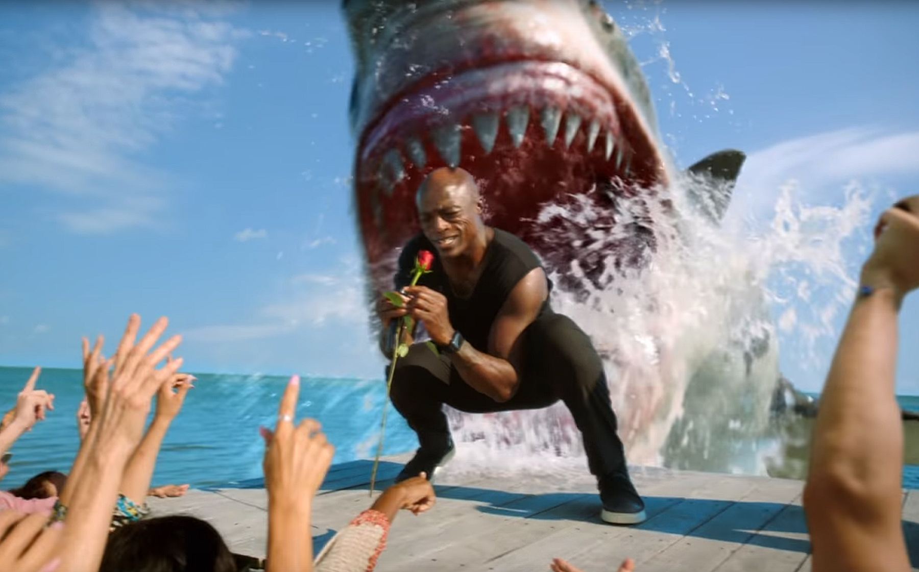 Seal Gets Attacked in Hilarious Shark Week Promo: Watch!