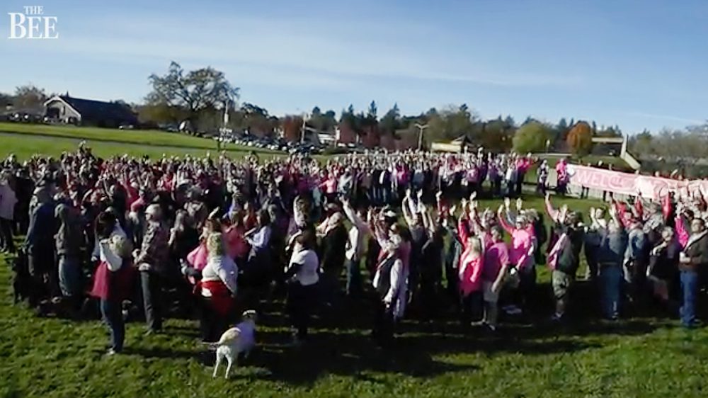 Sherri Papini welcome-home party