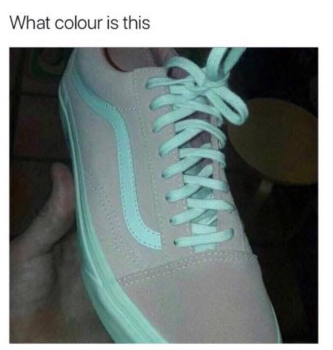 What Color Are These Shoes: Teal and Gray or Pink and White?