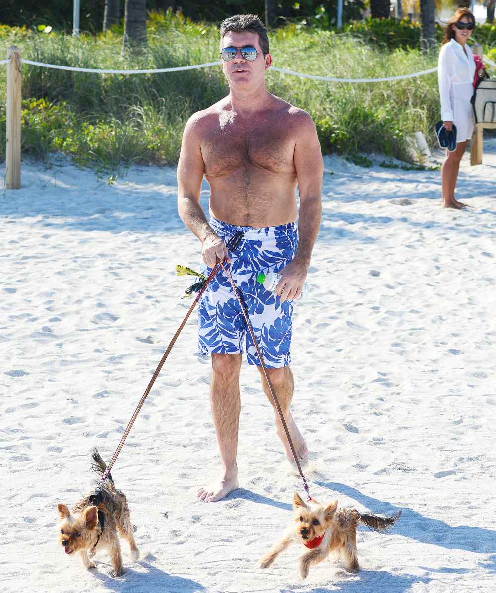Simon Cowell and dogs.