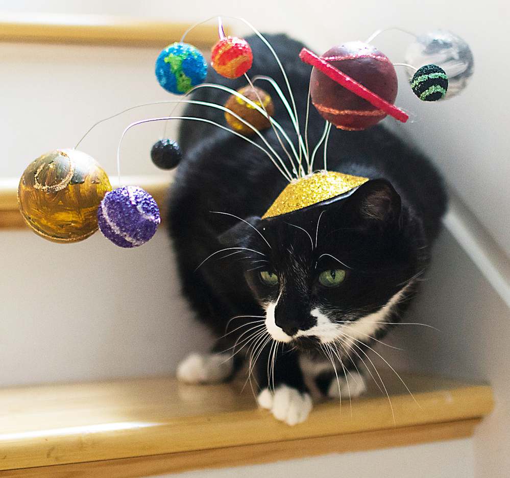 Solar system cat fascinator