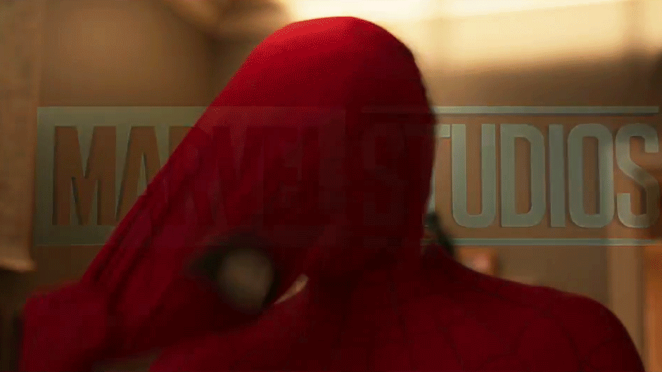 Tom Holland Spider-Man Homecoming
