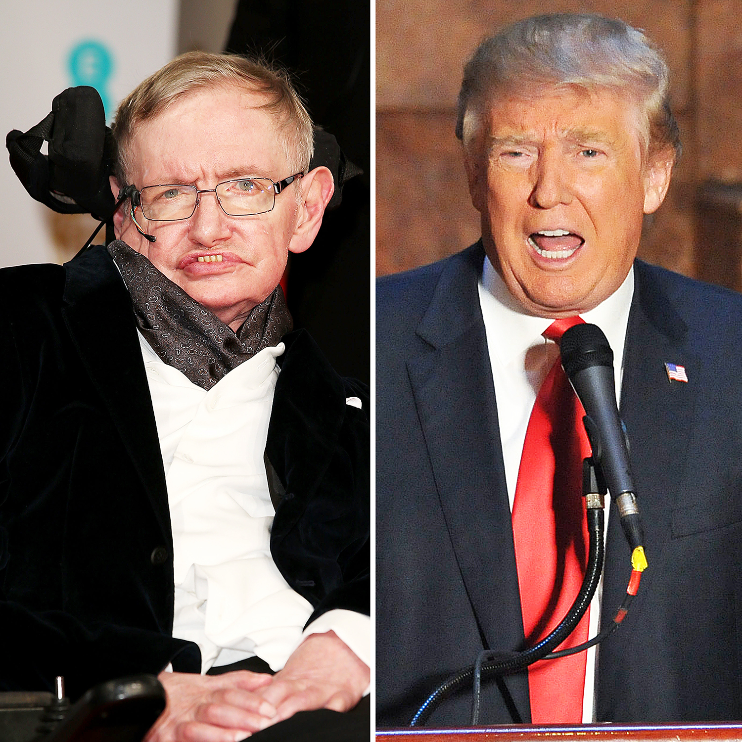 Stephen Hawking and Donald Trump