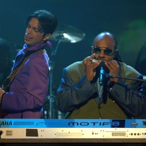 Stevie c81ba1a6 f860 4f8e bc63 5e691dbed7b0