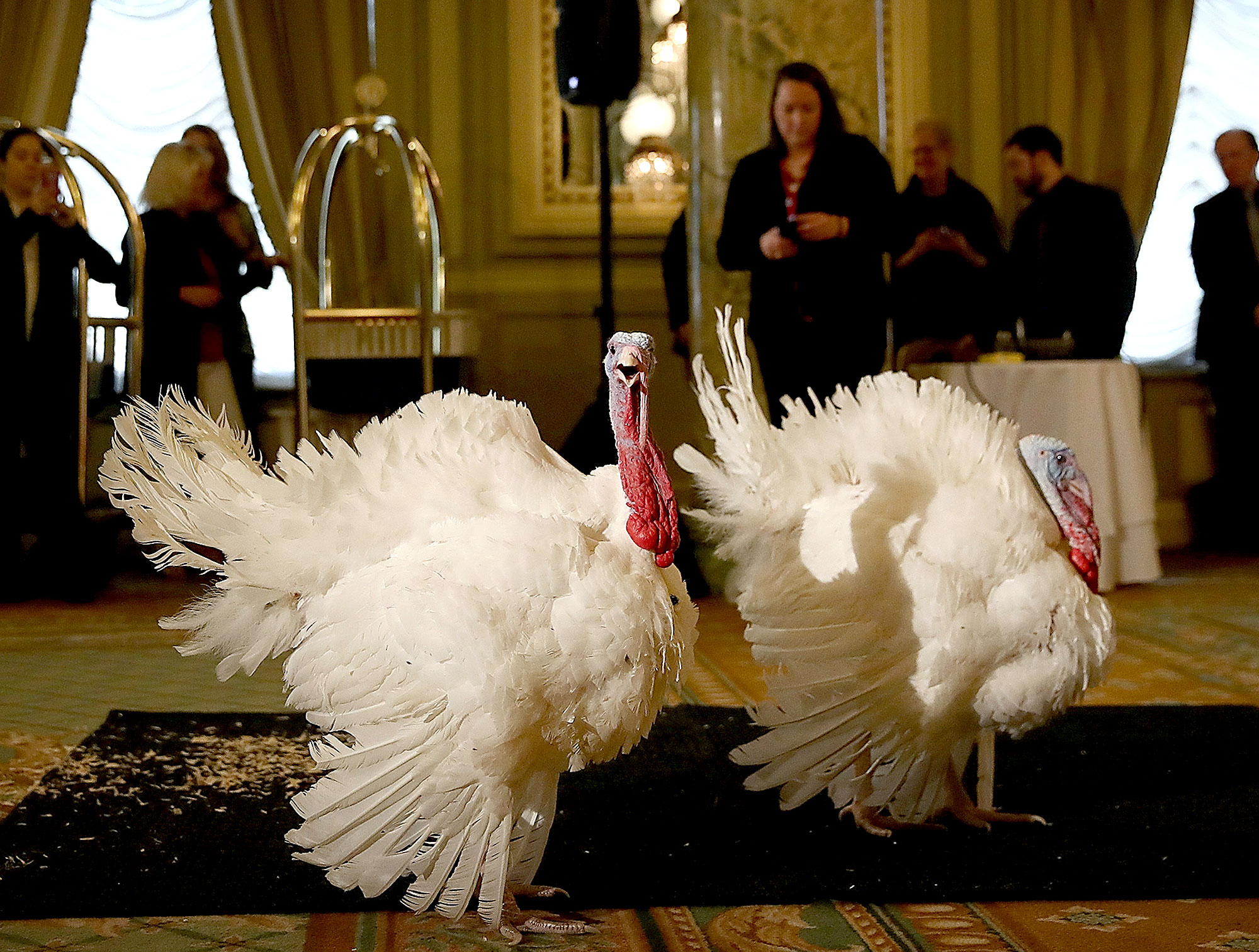 Tater tot eb88fdd8 a7b8 4aab acdc 6aa3f002fb36