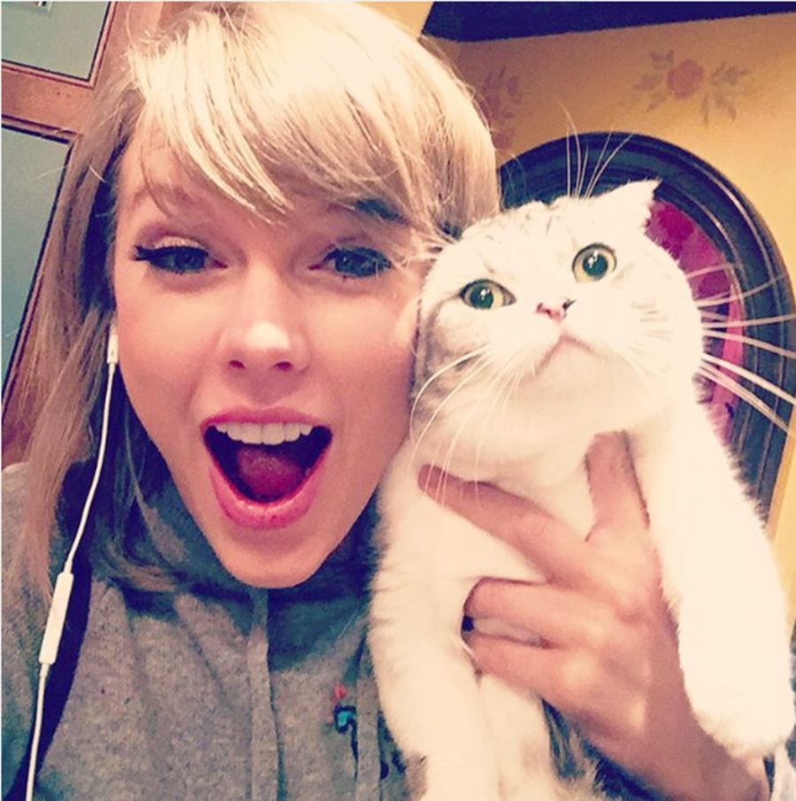 Taylor Swift and Cat