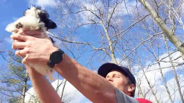 Tom brady zoom cad60490 e849 4707 b5cd abde62e0e12a