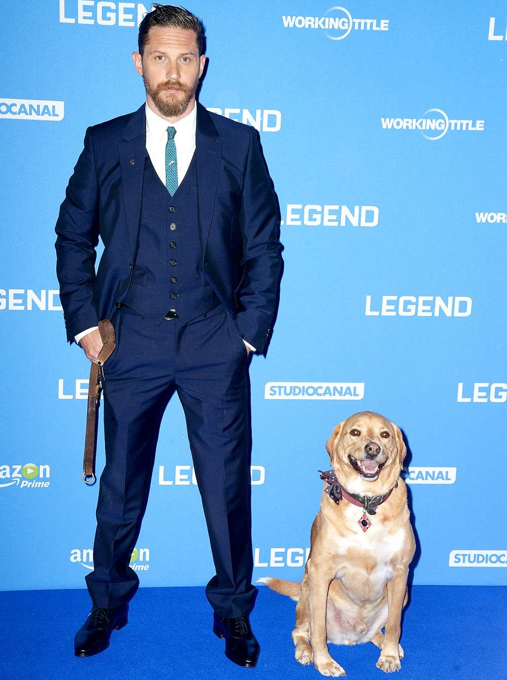 Tom Hardy and his dog Woody attend the UK Premiere of "Legend" at Odeon Leicester Square on September 3, 2015 in London, England.