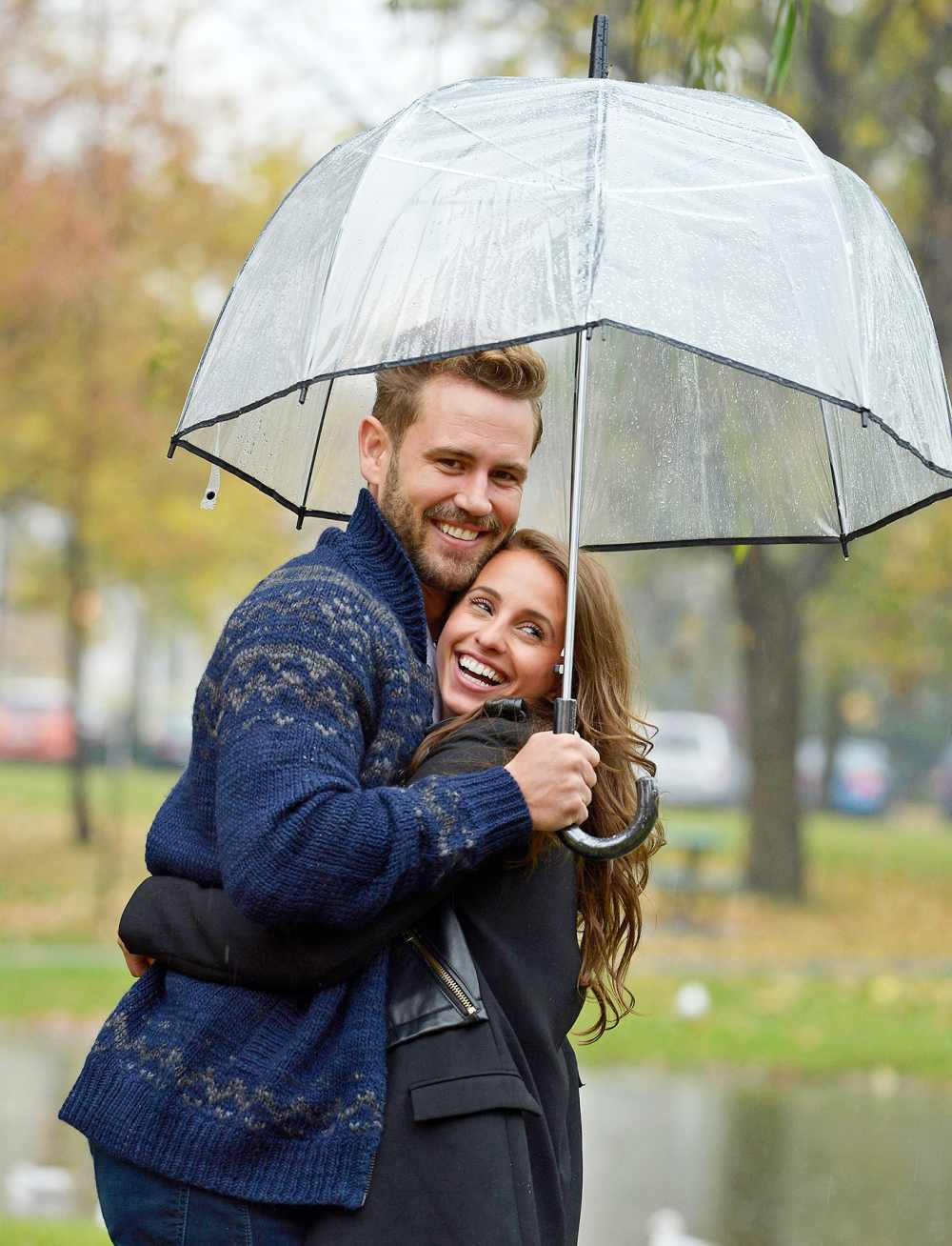 Nick Viall Vanessa Grimaldi The Bachelor